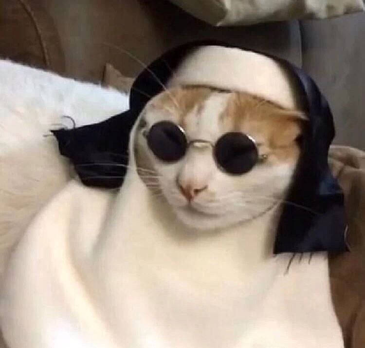 The Holy Cat